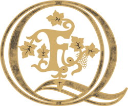 logotip Q F